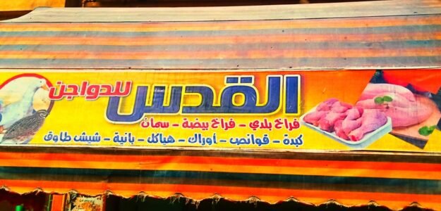 القدس للدواجن